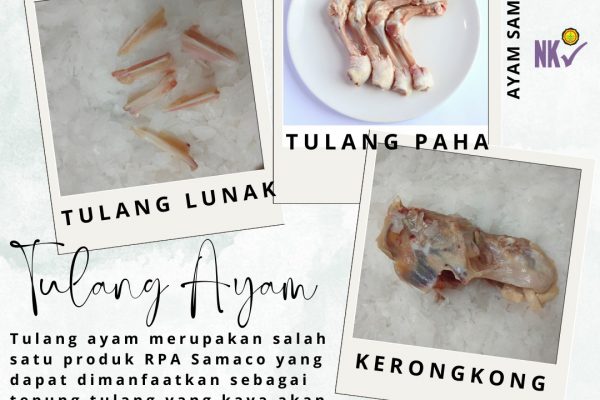 Produk Ayam dari PT Samaco Semesta Niaga terjamin Premium Quality