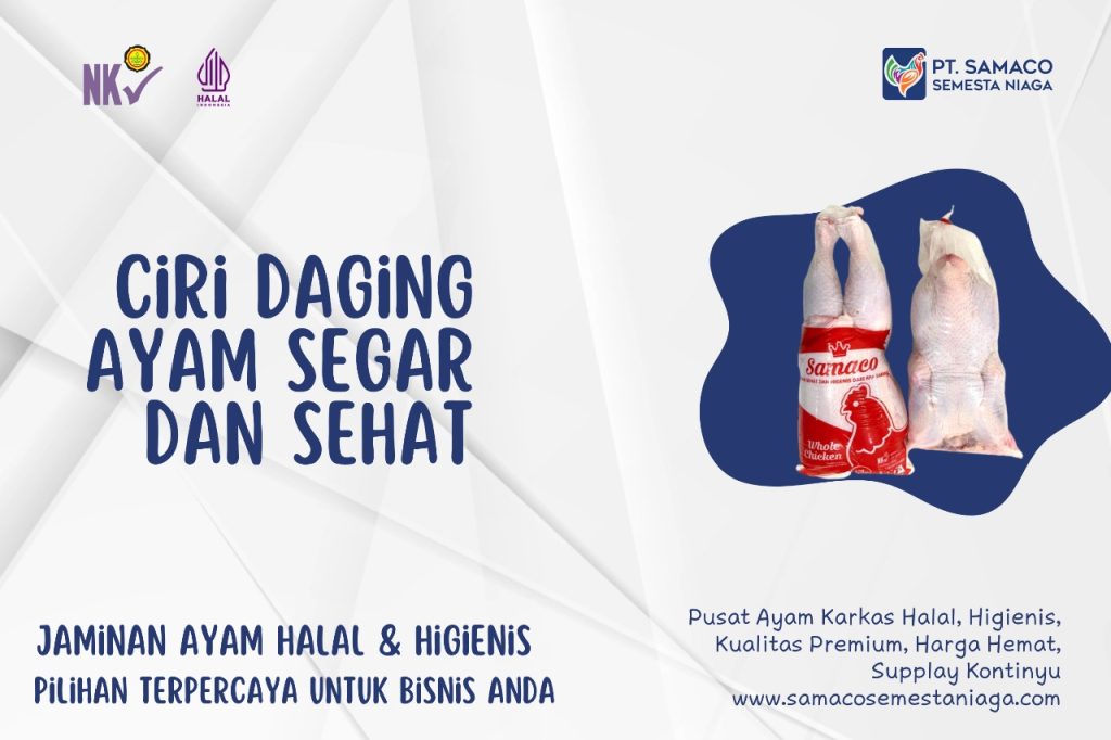 TIPS AYAM KARKAS SAMACO - CIRI DAGING AYAM YANG SEGAR DAN SEHAT