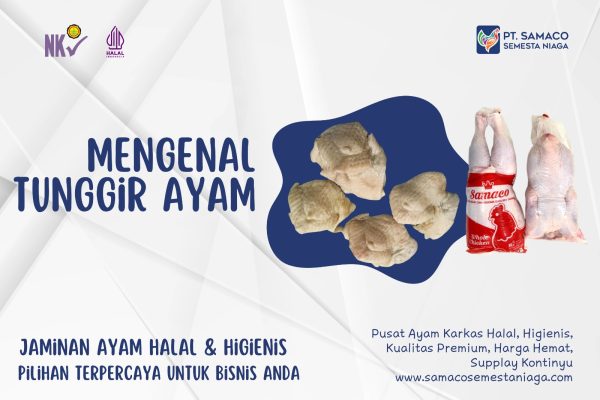 INFO TUNGGIR AYAM – BAGIAN DARI AYAM YANG GURIH DAN KAYA PROTEIN INFO TUNGGIR AYAM - BAGIAN DARI AYAM YANG GURIH DAN KAYA PROTEIN