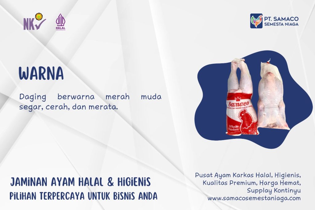 TIPS AYAM KARKAS SAMACO - CIRI DAGING AYAM YANG SEGAR DAN SEHAT