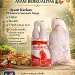 Ayam Karkas Halal & Berkualitas dari PT Samaco Semesta Niaga
