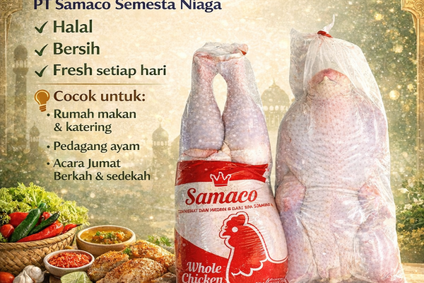 Ayam Karkas Halal & Berkualitas dari PT Samaco Semesta Niaga