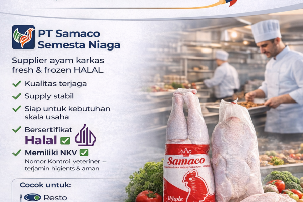 Supplier Ayam Karkas Halal untuk Resto & UMKM Kuliner | PT Samaco Semesta Niaga