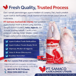 Ayam Karkas Fresh dan Frozen Berkualitas dari PT Samaco Karkasindo Utama Juwana Pati untuk Seluruh Indonesia