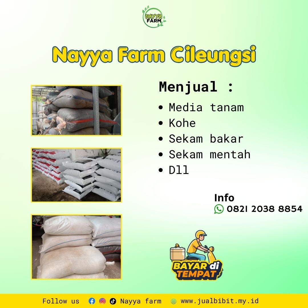 Media Tanam Berkualitas untuk Pertanian dan Perkebunan: Kohe, Sekam Bakar, dan Sekam Mentah