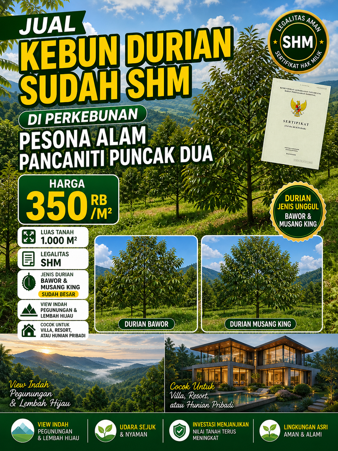 Jual Kebun Durian Sudah SHM di Perkebunan Pesona Alam Pancaniti Puncak Dua