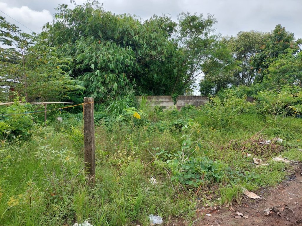 JUAL CEPAT TANAH DARAT DIPINGGIR JALAN PROPINSI DI JAKABARING, BANYUASIN, PALEMBANG, SUMATERA SELATAN