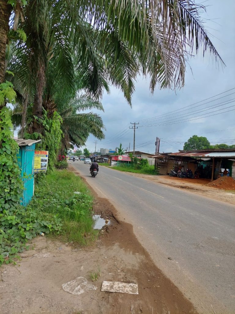 JUAL CEPAT TANAH DARAT DIPINGGIR JALAN PROPINSI DI JAKABARING, BANYUASIN, PALEMBANG, SUMATERA SELATAN