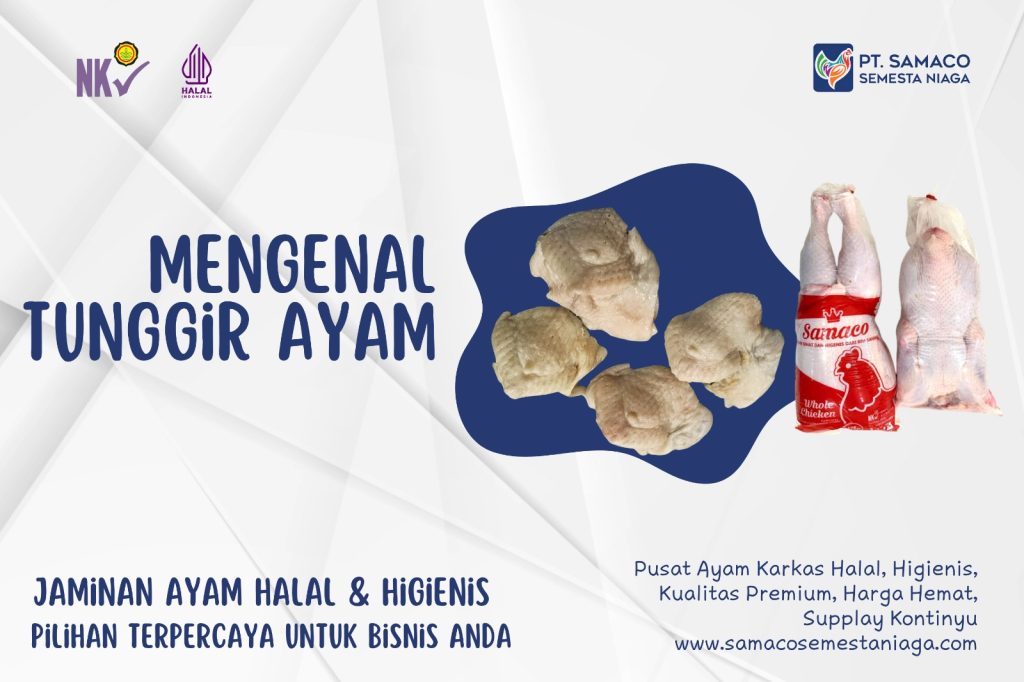 INFO TUNGGIR AYAM - BAGIAN DARI AYAM YANG GURIH DAN KAYA PROTEIN