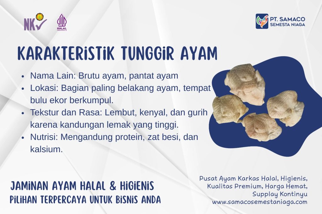 INFO TUNGGIR AYAM - BAGIAN DARI AYAM YANG GURIH DAN KAYA PROTEIN