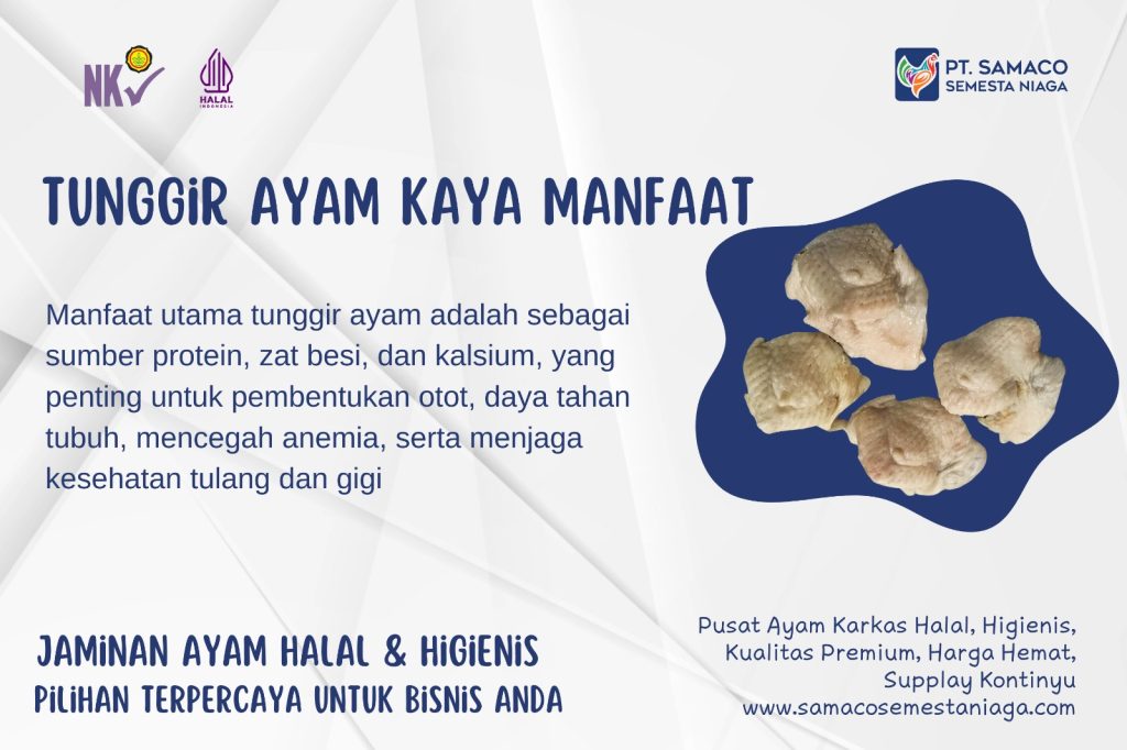 INFO TUNGGIR AYAM - BAGIAN DARI AYAM YANG GURIH DAN KAYA PROTEIN