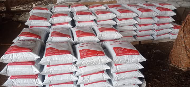 Jual Media Tanam Berkualitas di Cileungsi Bogor – Nayya Farm Cileungsi