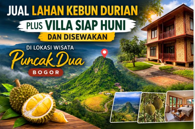 Jual Lahan Kebun Durian Plus Villa Siap Huni di Kawasan Wisata Puncak Dua Bogor