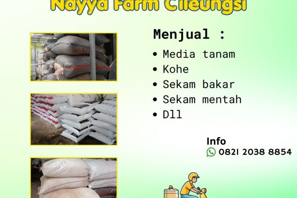 Media Tanam Berkualitas untuk Pertanian dan Perkebunan: Kohe, Sekam Bakar, dan Sekam Mentah