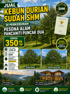 Jual Kebun Durian Sudah SHM di Perkebunan Pesona Alam Pancaniti Puncak Dua