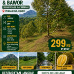 Jual Kebun Durian Musang King & Bawor di Puncak Dua Bogor, View Gunung Batu yang Menakjubkan