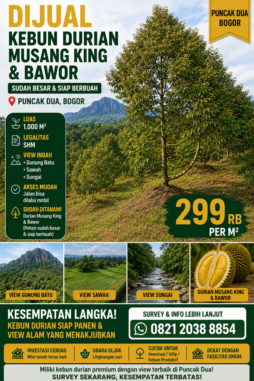 Jual Kebun Durian Musang King & Bawor di Puncak Dua Bogor, View Gunung Batu yang Menakjubkan