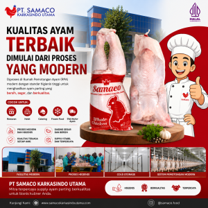 Ayam Parting Berkualitas dari RPA Modern PT Samaco Karkasindo Utama