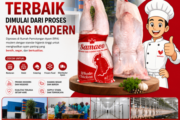 Ayam Parting Berkualitas dari RPA Modern PT Samaco Karkasindo Utama
