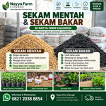 Jual Sekam Mentah dan Sekam Bakar Cileungsi – Nayya Farm