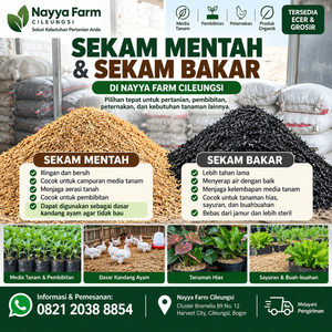 Jual Sekam Mentah dan Sekam Bakar Cileungsi – Nayya Farm
